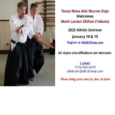 Aikido seminar poster