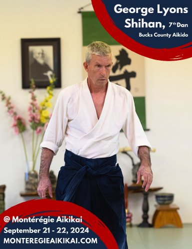 Aikido seminar poster