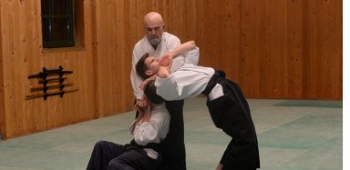 Aikido seminar poster