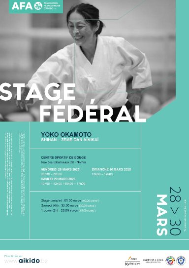 Aikido seminar poster