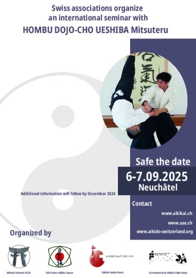 Aikido seminar poster