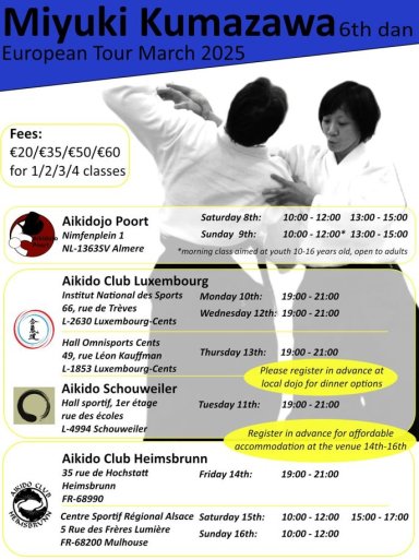 Aikido seminar poster