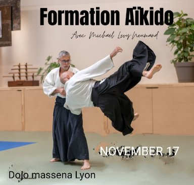 Aikido seminar poster