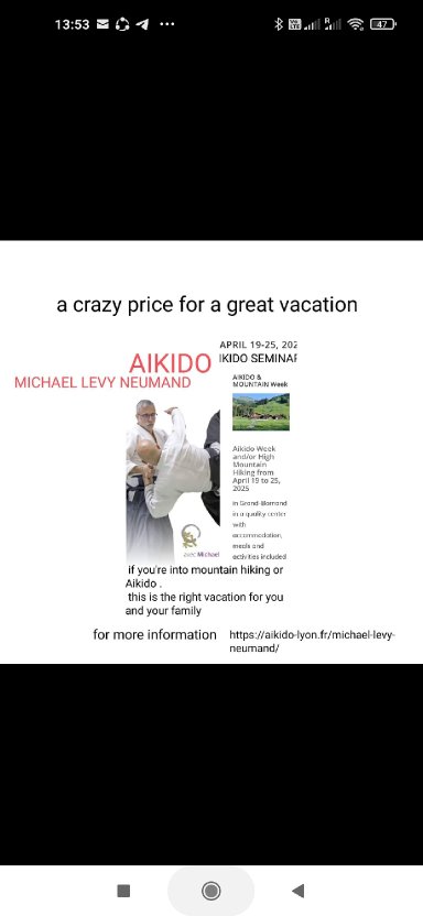 Aikido seminar poster