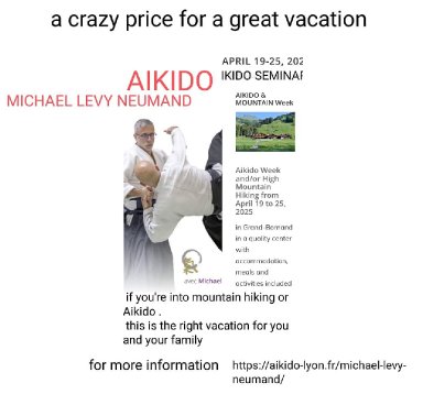 Aikido seminar poster