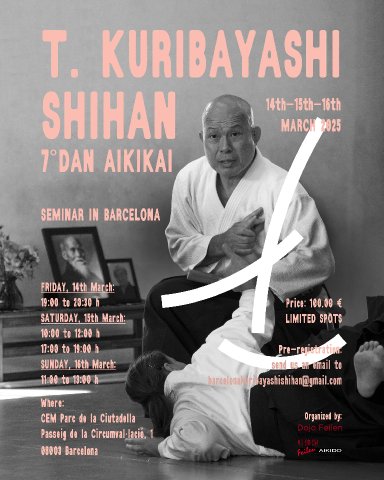 Aikido seminar poster