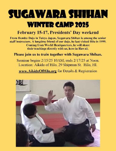 Aikido seminar poster