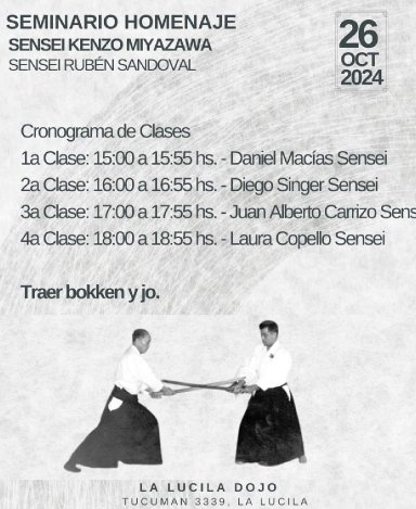 Aikido seminar poster