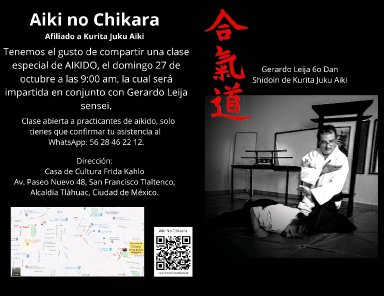 Aikido seminar poster