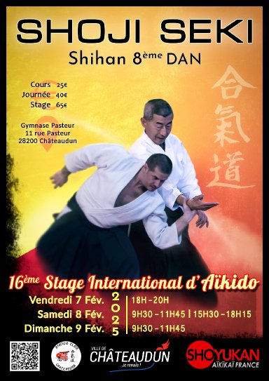 Aikido seminar poster