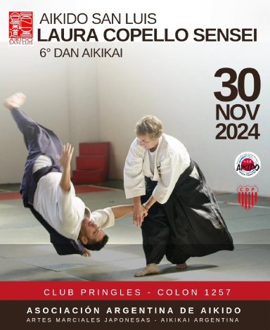 Aikido seminar poster