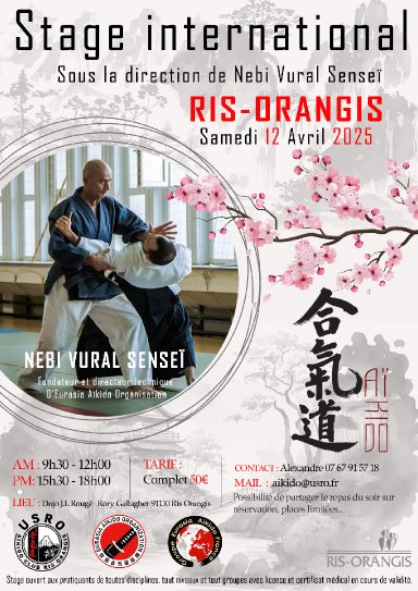 Aikido seminar poster