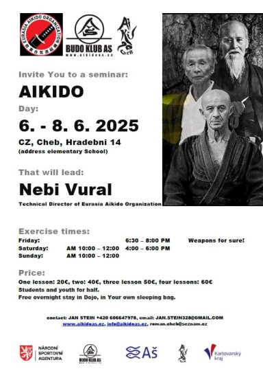 Aikido seminar poster