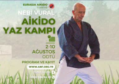 Aikido seminar poster