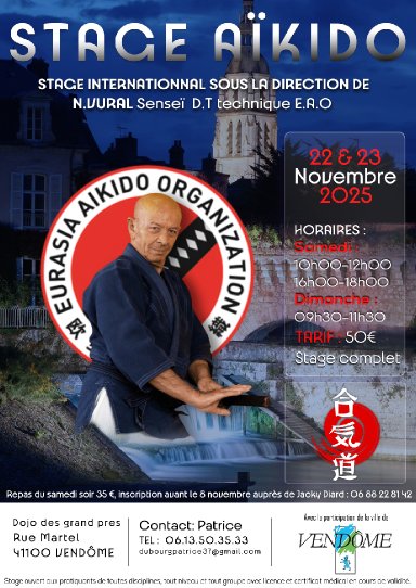Aikido seminar poster