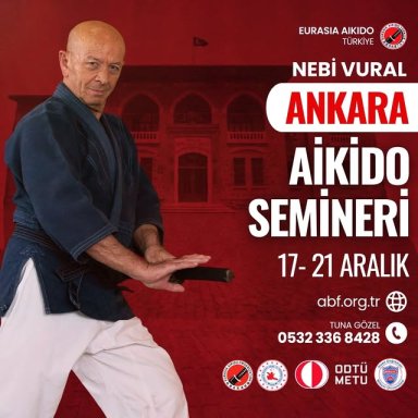 Aikido seminar poster