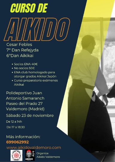 Aikido seminar poster