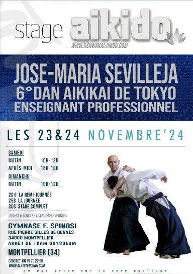 Aikido seminar poster