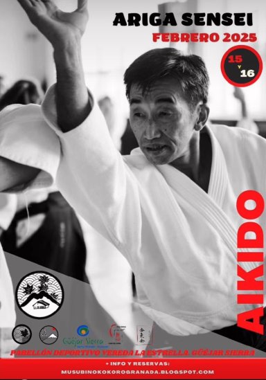 Aikido seminar poster