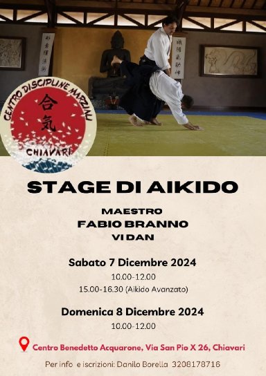 Aikido seminar poster