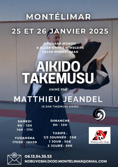 Aikido seminar poster