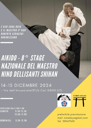 Aikido seminar poster