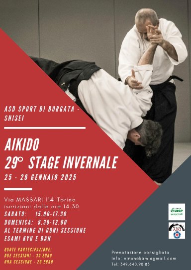 Aikido seminar poster