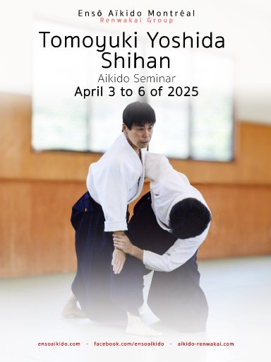 Aikido seminar poster