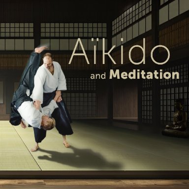 Aikido seminar poster