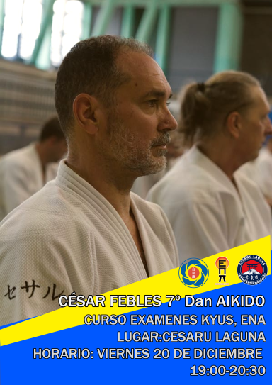 Aikido seminar poster