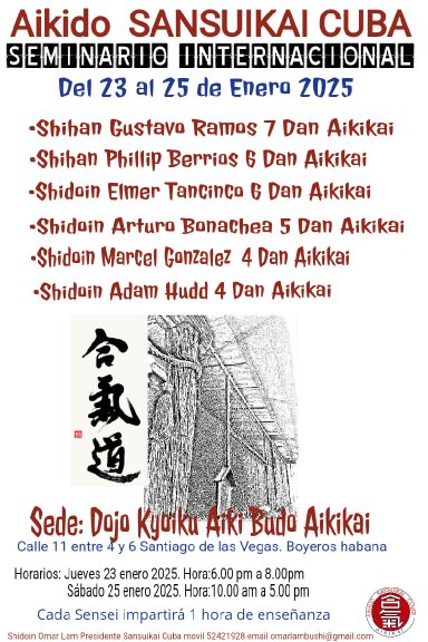 Aikido seminar poster