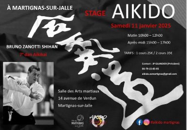 Aikido seminar poster