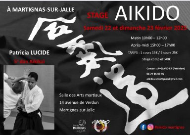 Aikido seminar poster