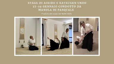 Aikido seminar poster