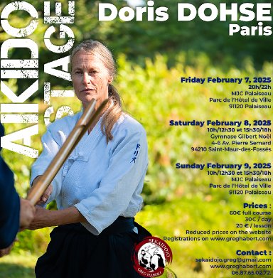 Aikido seminar poster