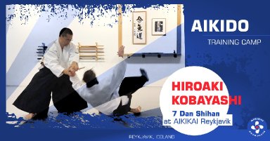 Aikido seminar poster