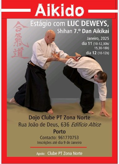 Aikido seminar poster