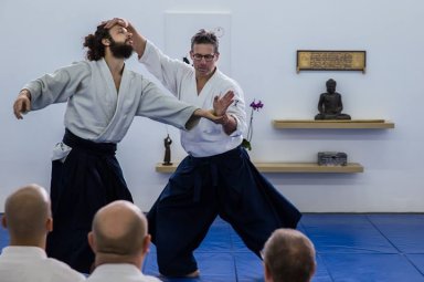 Aikido seminar poster