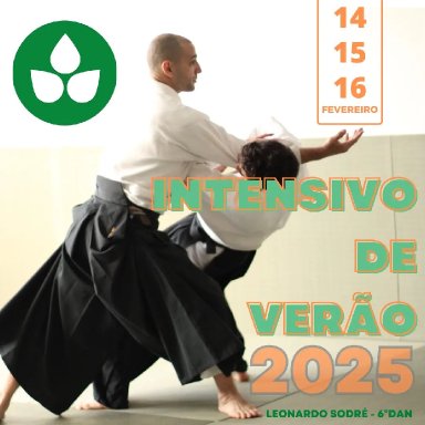 Aikido seminar poster