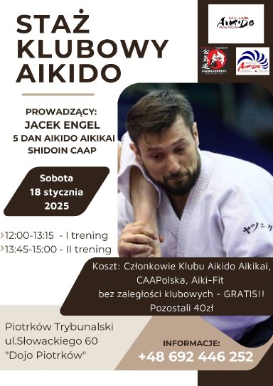 Aikido seminar poster