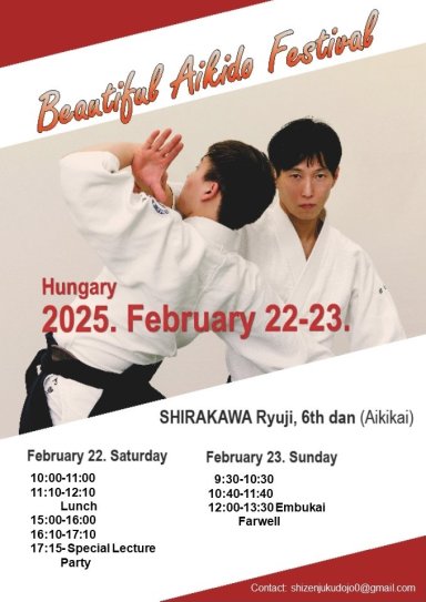 Aikido seminar poster