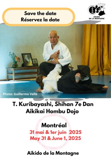 Aikido seminar poster