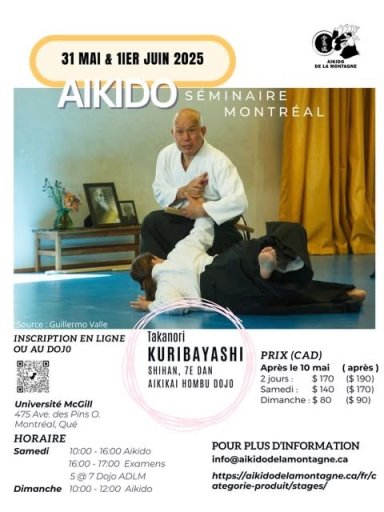 Aikido seminar poster