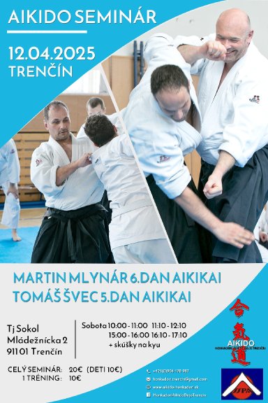 Aikido seminar poster