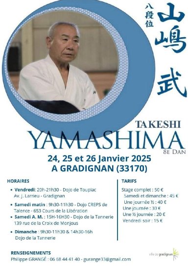 Aikido seminar poster