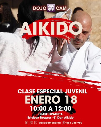 Aikido seminar poster