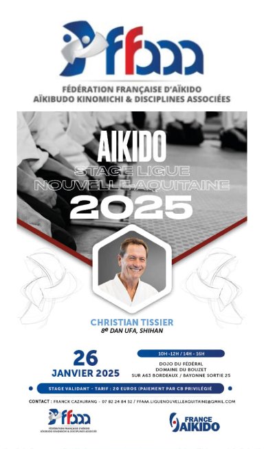 Aikido seminar poster