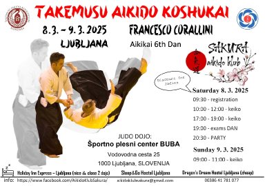 Aikido seminar poster