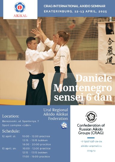 Aikido seminar poster