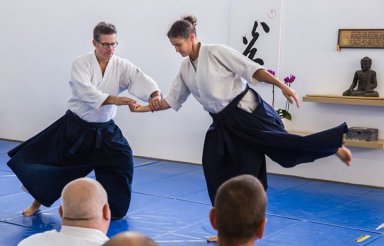 Aikido seminar poster